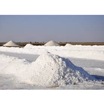   Gujarat salt factory case undecided for nine years
